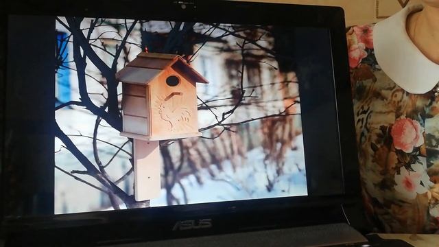 Аппликация в младшей группе "Скворечник" смотреть онлайн