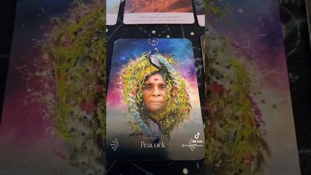 Collective Oracle and Tarot Message! 14/11/2022 смотреть онлайн