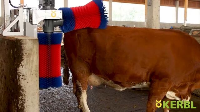 Автоматическая щетка для чистки шкуры коров HAPPYCOW Duo смотреть онлайн