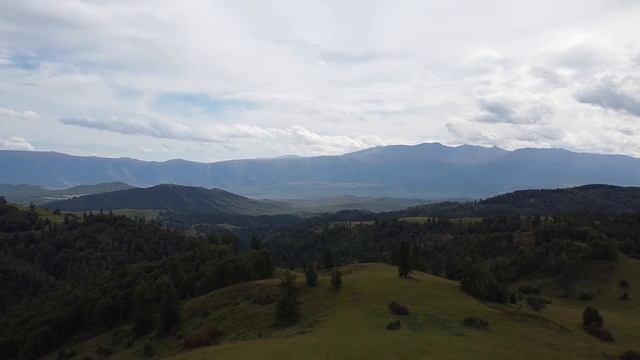 Путешествие по Восточному Казахстану // Подсолнуховое поле // Аккайнар // Катон-Карагай // ВКО смотреть онлайн