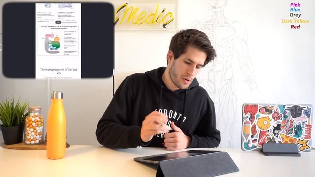 How I take notes with Notability on my iPad Pro (2020) | KharmaMedic смотреть онлайн