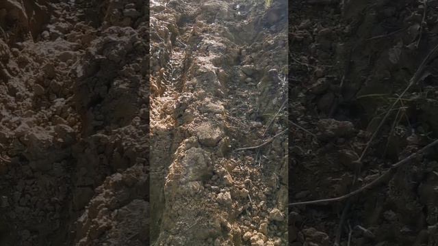 You can see how life is in the forest with a relaxing melody that will help you fall asleep and calm смотреть онлайн