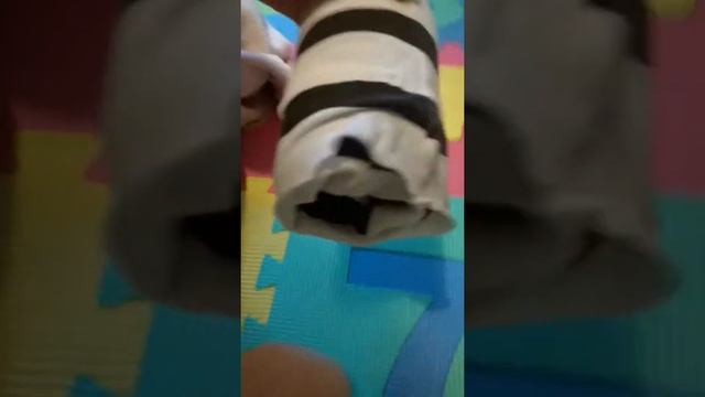 Домик для крысы или хомячка из пластиковой бутылки смотреть онлайн