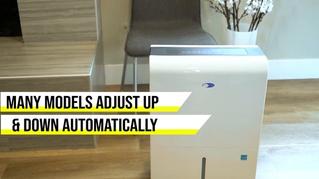 How to Set Your Dehumidifier | Sylvane смотреть онлайн