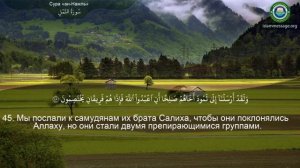 27. _Сура_ ❤️Ан-Намль❤️ Мишари Рашид