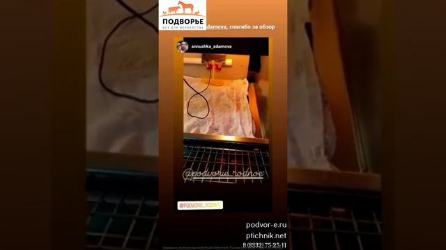 Брудер для 70 цыплят Оптима смотреть онлайн