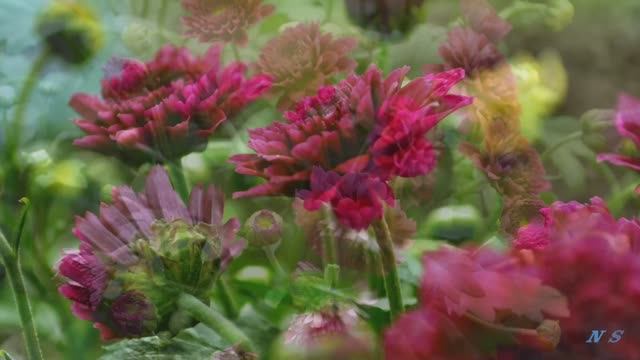 Музыка для души. смотреть онлайн