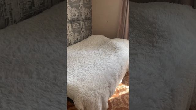 Квартира в Кудрово, ул. Австрийская 4/2 смотреть онлайн