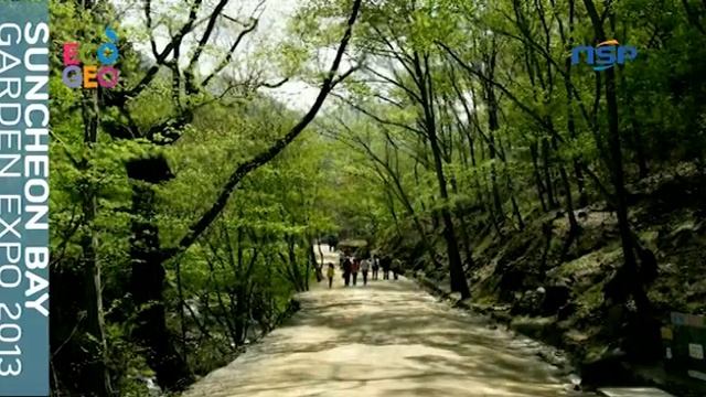 [NSP TV]Фестиваль Республики Корея.-2013 на заливе Сунчхон(5) смотреть онлайн