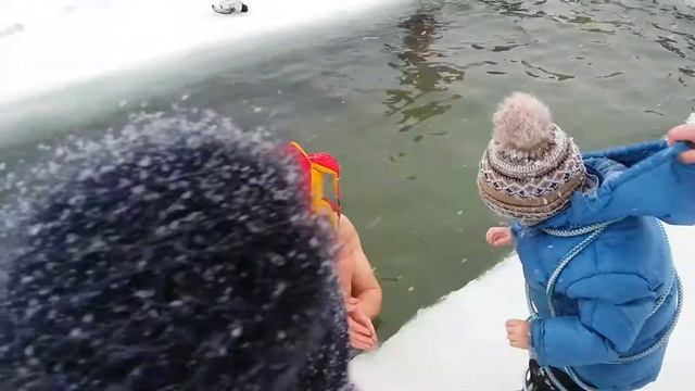 Масленица продолжается.кормим моржей с руки.....2 часть... смотреть онлайн