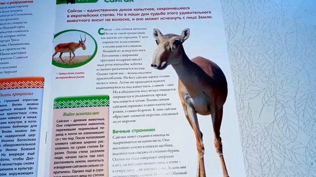Моя страна Собери Карту России от Hachette Выпуск № 91/ My country Collect the Map of Russia смотреть онлайн