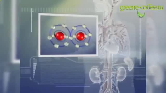 Купить зеленое кофе. смотреть онлайн