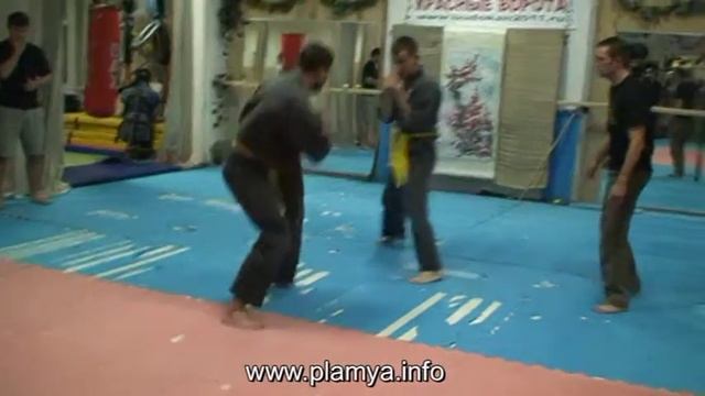 ПЛАМя - рукопашный бой - нокдаун ладонью