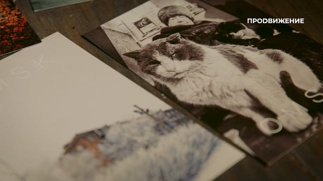 Алексей Степаненко | Уличный фотограф | Наши люди (2022) смотреть онлайн