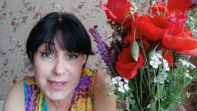 ПРИКЛЮЧЕНИЯ НЕЗНАЙКИ и ЕГО ДРУЗЕЙ. Н.НОСОВ гл.1 смотреть онлайн