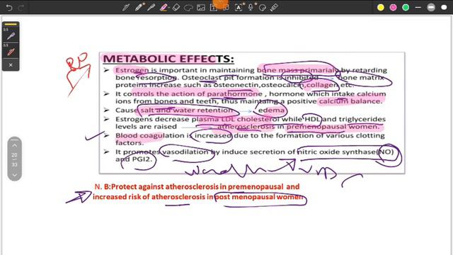 Rev l1 bio смотреть онлайн