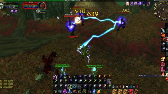 Resto Shaman big burst damage while farming Demonic Runes in Felwood (Classic WoW) смотреть онлайн