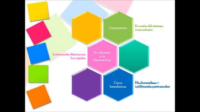 Treponema Pallidum Sifil смотреть онлайн
