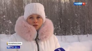 Собака спасла мальчика от волка