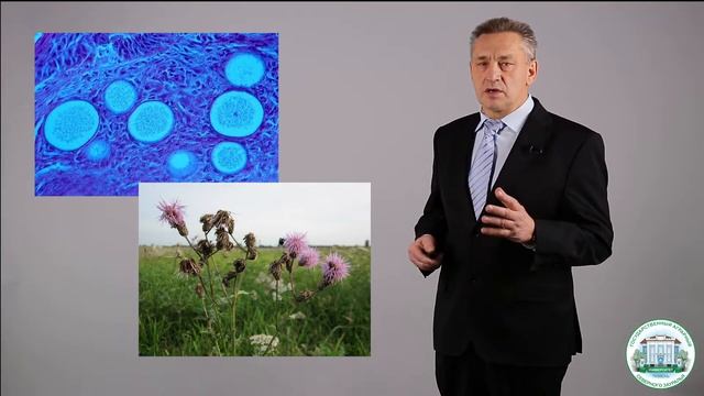 2 6 Биологические меры борьбы с сорняками смотреть онлайн