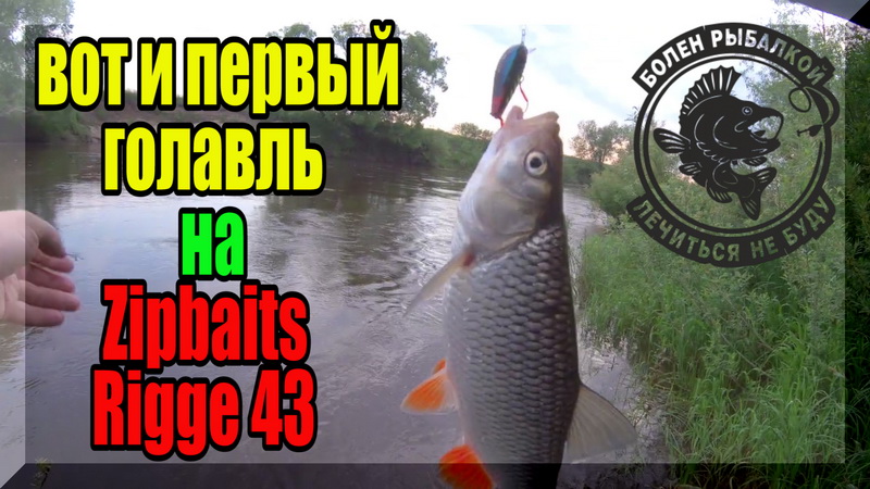 Вчера пусто, а сегодня густо! Вот так бывает // Наконец то разловил этот воблер по голавлю // Часть3 смотреть онлайн