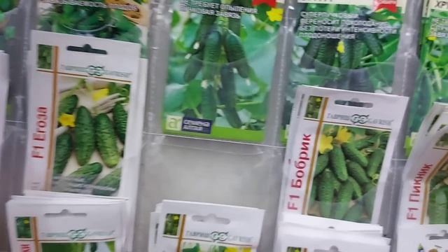 Кому нужны семена с Алтая? ? Обзор из моего магазина. Приглашаю? смотреть онлайн