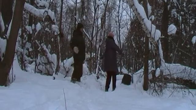 Прогулка в лесу зимой с Белкой 2018 г смотреть онлайн