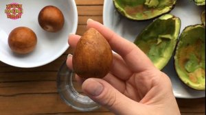 Всего 1 косточка авокадо освободит ваши почки от камней!