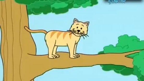 Spotlight Starter DVD. Спотлайт Стартер Видео к учебнику. 1 класс. Английский для школьников