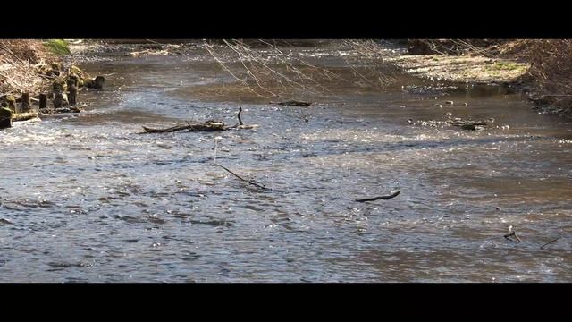 Steinerne Wehr (Sulmbad) 4K 50p | Canon XF705 смотреть онлайн