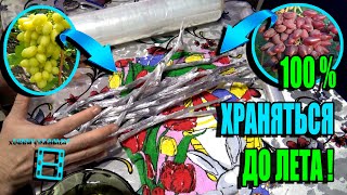 ЛУЧШИЙ СПОСОБ ХРАНЕНИЯ ЧЕРЕНКОВ ВИНОГРАДА ДЛЯ ВЕСЕННИХ ПРИВИВОК. СЕВЕРНЫЙ ВИНОГРАДНИК 22-4 смотреть онлайн