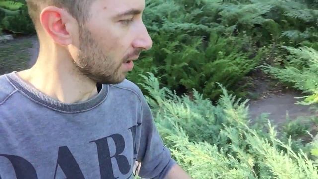 VLOG:пою; читаю стихи; туалет-ракета) смотреть онлайн