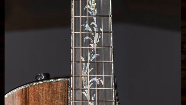 Taylor Custom Grand Auditorium PS14ce Sinker Redwood смотреть онлайн