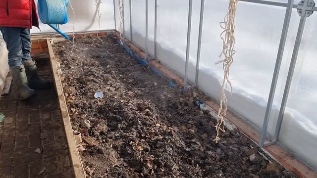 биопрепарат и подкормка своими руками за копейки хлебопекарные дрожжи на огороде смотреть онлайн