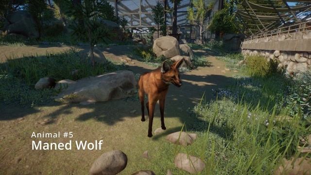 Planet Zoo Grasslands DLC I Animal Showcase! смотреть онлайн