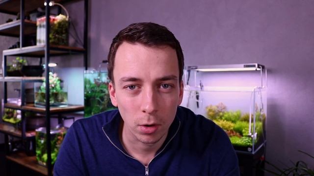 AQUARIUM ALGAE GUIDE Ep #4 Cyanobacteria - Blue Green Algae Removal смотреть онлайн