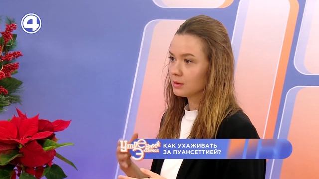 ВСЁ О РОЖДЕСТВЕНСКОЙ ПУАНСЕТТИИ: ИСТОРИЯ И УХОД. Фитодизайнер Виктория Владыкина 12.12.23 смотреть онлайн