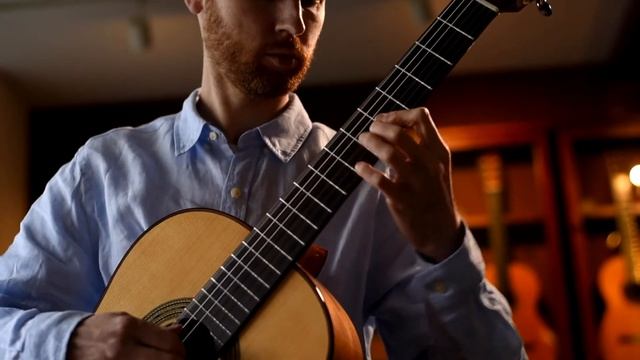 ARIA F207 Flamenco смотреть онлайн
