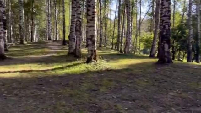 Оса укусила ? РАМИНА АЛМАС смотреть онлайн