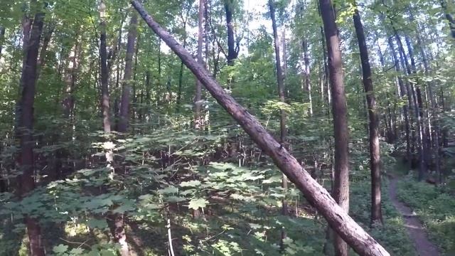 Тимирязевский парк часть 1 смотреть онлайн