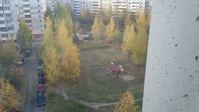 Лифт МЛЗ 1991 г. в. (раб. с 10.12.1998) с чёрным купе | Ул. Чкалова 50/1 смотреть онлайн