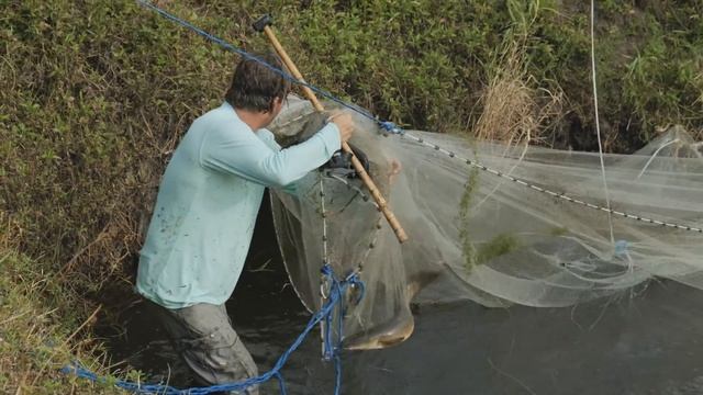 How to make SNAKEHEAD FISH TRAP смотреть онлайн
