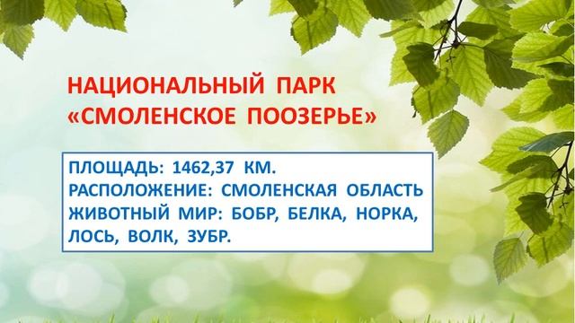 Презентация "ЗАПОВЕДНИКИ" смотреть онлайн