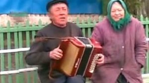Частушки под гармонь