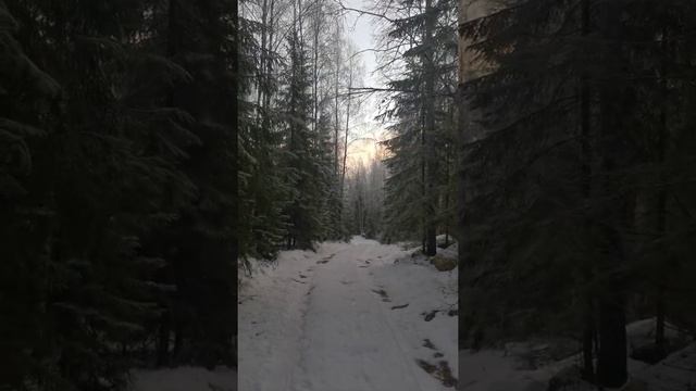 Зимняя сказка в Карелии❄️? смотреть онлайн