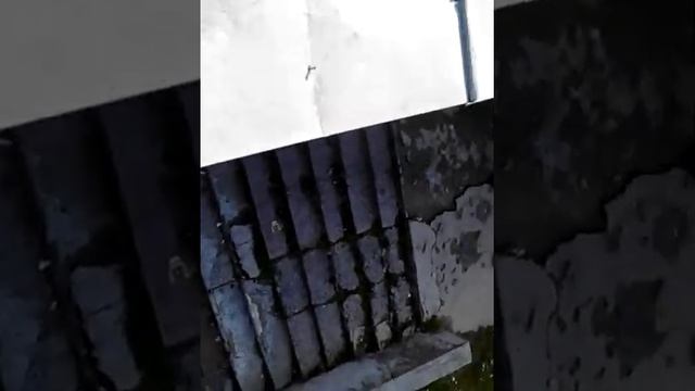 #2 крыша витебска смотреть онлайн