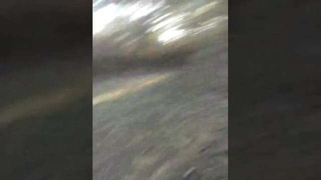 Свято - Успенский женский монастырь с. Райковщина, Яготинский р-н. Часть 1 смотреть онлайн