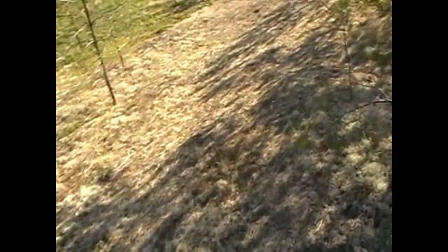 в лесу всё сухо .грибов нету.зря поехал смотреть онлайн