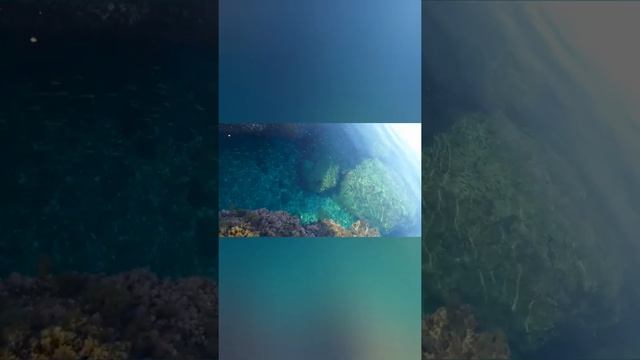 Северный Кипр.АЛАГАДИ-черепаший пляж. смотреть онлайн