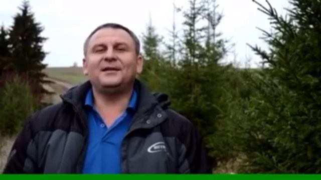 Стих о Женщина ты небо и земля смотреть онлайн